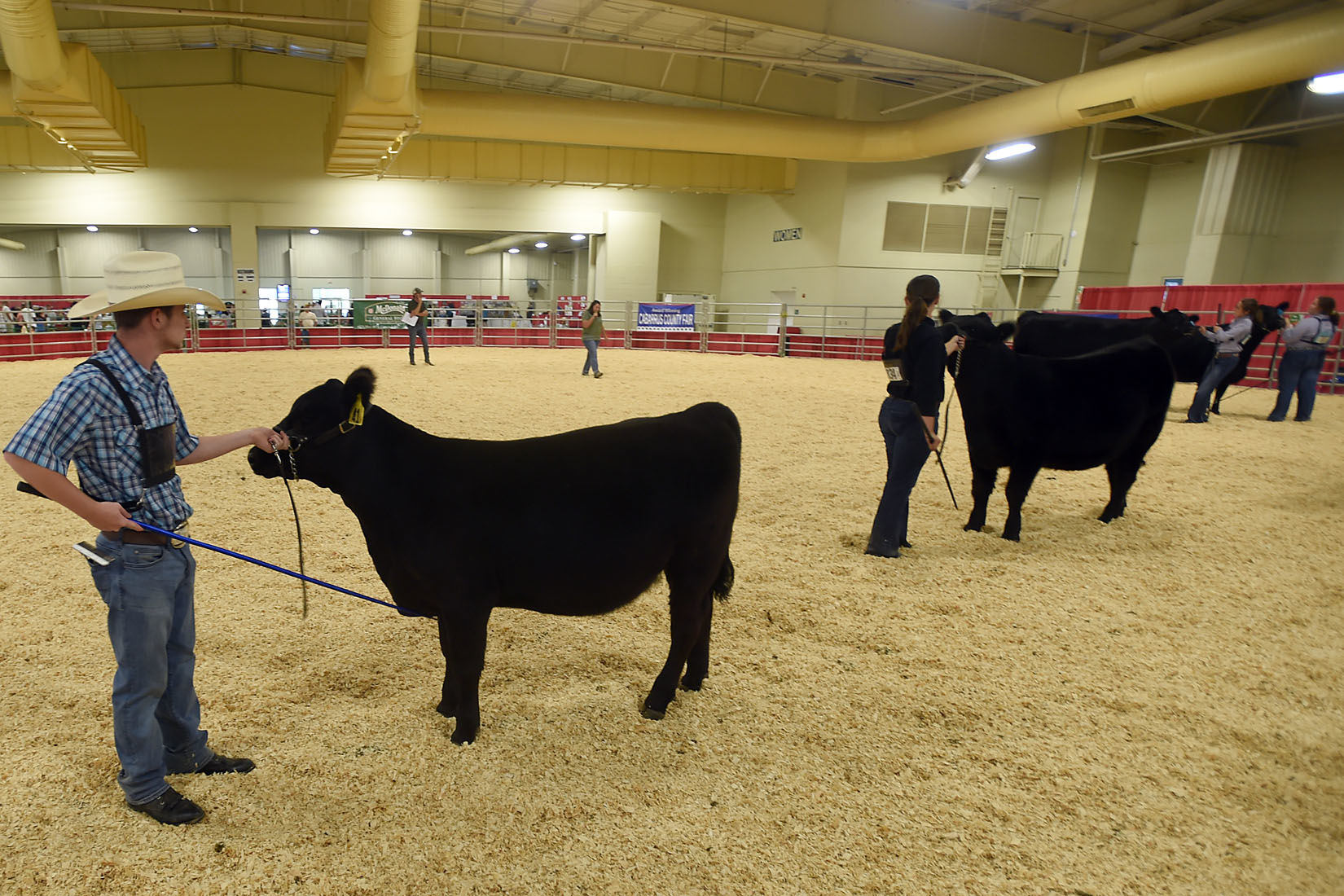 Cabarrus County Fair